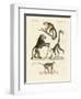 Strange Monkeys-null-Framed Giclee Print