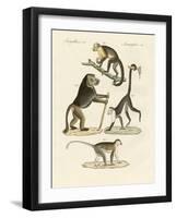 Strange Monkeys-null-Framed Giclee Print