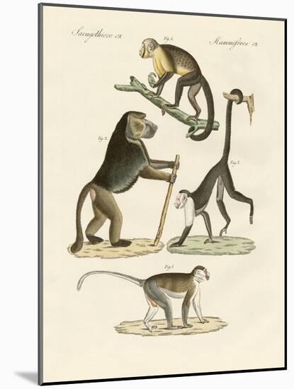 Strange Monkeys-null-Mounted Giclee Print