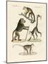 Strange Monkeys-null-Mounted Giclee Print