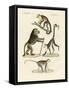 Strange Monkeys-null-Framed Stretched Canvas