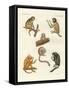 Strange Monkeys-null-Framed Stretched Canvas