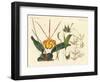 Strange Plants-null-Framed Premium Giclee Print