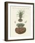 Strange Plants-null-Framed Giclee Print