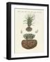 Strange Plants-null-Framed Giclee Print