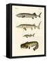 Strange River Fish-null-Framed Stretched Canvas