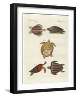 Strange Sea-Turtles-null-Framed Giclee Print