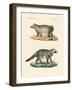 Strange Skunks-null-Framed Giclee Print