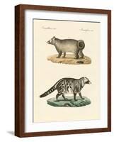 Strange Skunks-null-Framed Giclee Print