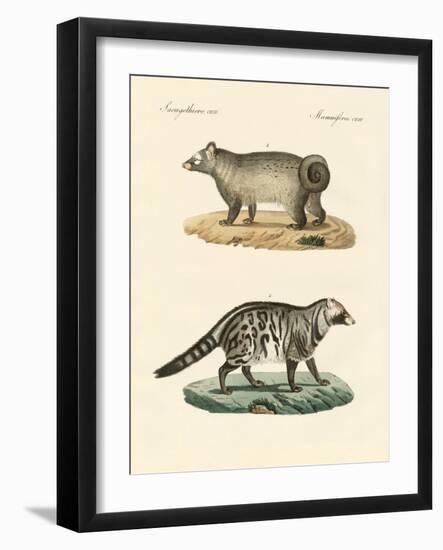 Strange Skunks-null-Framed Giclee Print