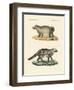 Strange Skunks-null-Framed Premium Giclee Print