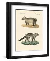 Strange Skunks-null-Framed Premium Giclee Print