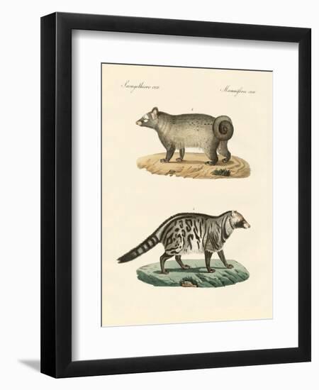 Strange Skunks-null-Framed Premium Giclee Print