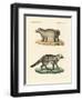 Strange Skunks-null-Framed Premium Giclee Print