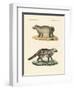 Strange Skunks-null-Framed Premium Giclee Print