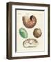 Strange Snails and Clams-null-Framed Premium Giclee Print