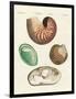 Strange Snails and Clams-null-Framed Giclee Print