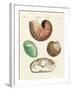 Strange Snails and Clams-null-Framed Giclee Print