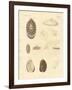 Strange Snails-null-Framed Giclee Print