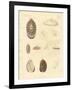 Strange Snails-null-Framed Giclee Print