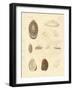 Strange Snails-null-Framed Giclee Print