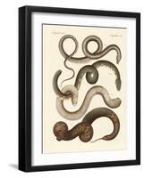 Strange Snake-null-Framed Giclee Print