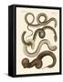 Strange Snake-null-Framed Stretched Canvas