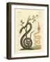 Strange Snake-null-Framed Giclee Print