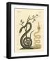 Strange Snake-null-Framed Giclee Print