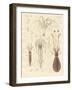 Strange Soft-Worms-null-Framed Giclee Print