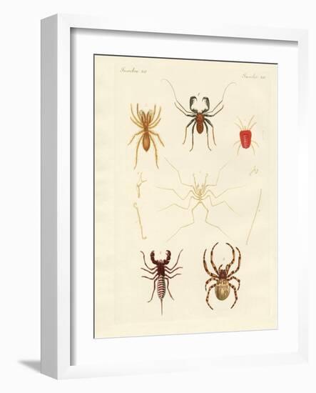 Strange Spiders-null-Framed Giclee Print