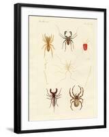 Strange Spiders-null-Framed Giclee Print
