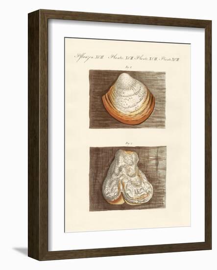 Strange Sponges-null-Framed Giclee Print