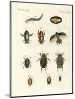 Strange Swimming Beetles-null-Mounted Giclee Print