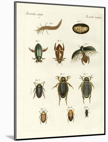 Strange Swimming Beetles-null-Mounted Giclee Print