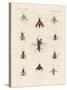 Strange Two-Winged Insects-null-Stretched Canvas