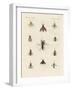 Strange Two-Winged Insects-null-Framed Giclee Print