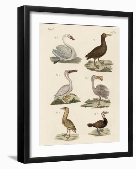 Strange Water Birds-null-Framed Giclee Print