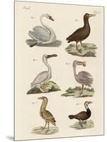 Strange Water Birds-null-Mounted Giclee Print