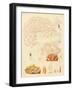 Strange Worms, Zoophytes-null-Framed Giclee Print