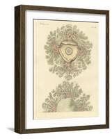 Strange Worms-null-Framed Giclee Print