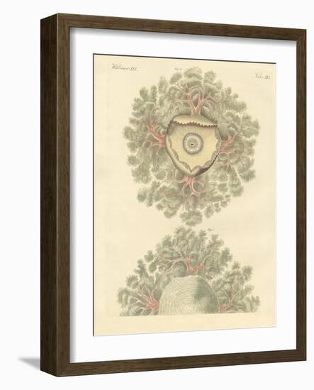 Strange Worms-null-Framed Giclee Print