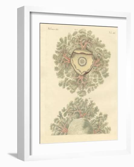 Strange Worms-null-Framed Giclee Print