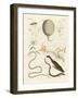 Strange Worms-null-Framed Giclee Print