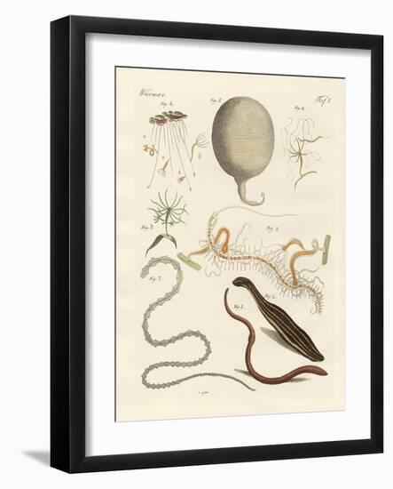 Strange Worms-null-Framed Giclee Print