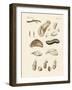 Strange Worms-null-Framed Giclee Print