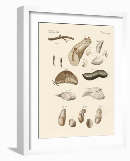 Strange Worms-null-Framed Giclee Print