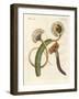 Strange Worms-null-Framed Giclee Print