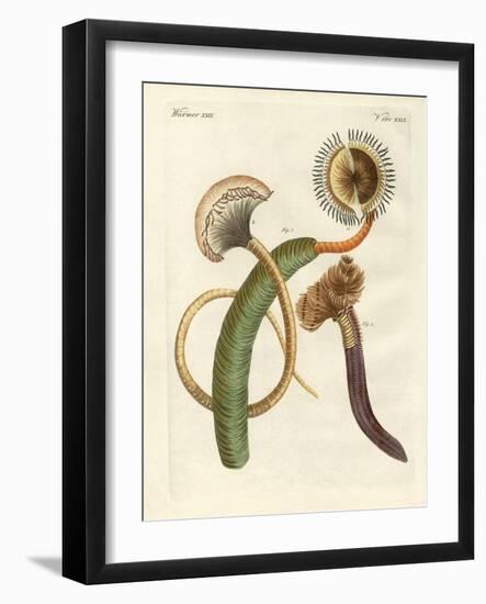 Strange Worms-null-Framed Giclee Print