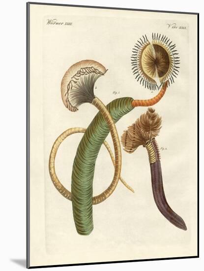 Strange Worms-null-Mounted Giclee Print